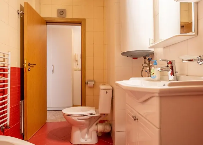 The Right Choice 18 *